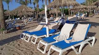 Пляжная мафия на пляже отеля Sharm Dreams Resort октябрь 2023