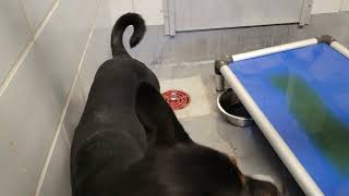 acs A676363