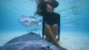 海とともに生きる女性たちの出産の物語　ドキュメンタリー「パシフィック・マザー」予告