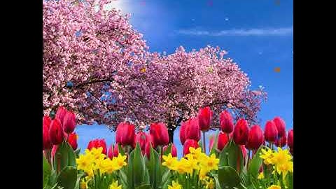 سورة الفيل _ القارئ هزاع البلوشي