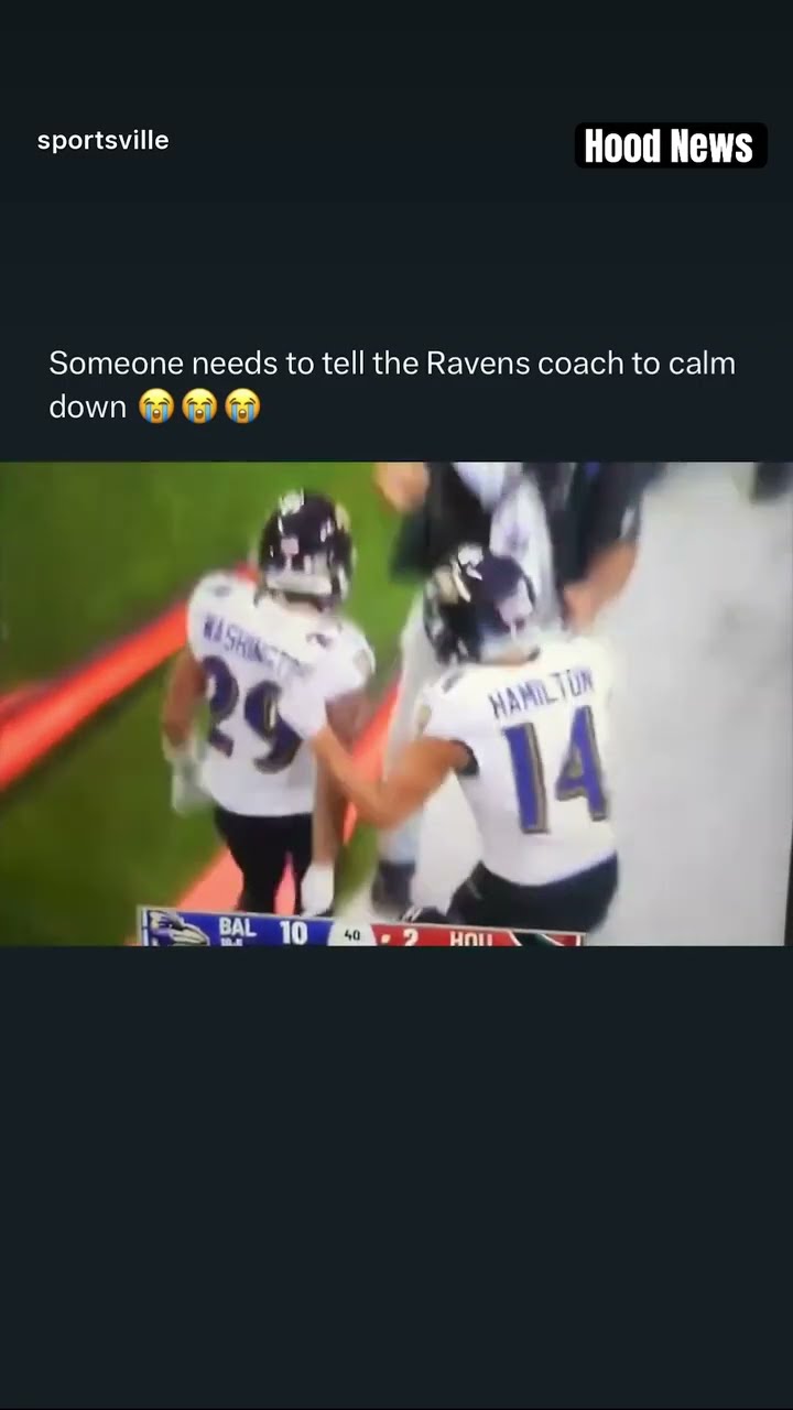 Calm down coach #hoodnews #ravens #baltimoreravens #NFL #coach #shortvideo #football #omg #how #wow