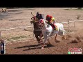 Gana El Muelas Cuadra Chalanes  a El Aguila Real Cuadra Ferrari en Carril Moapa🔥