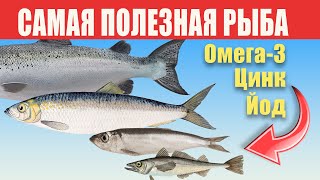 Не покупайте рыбу ради Omega 3 не посмотрев видео