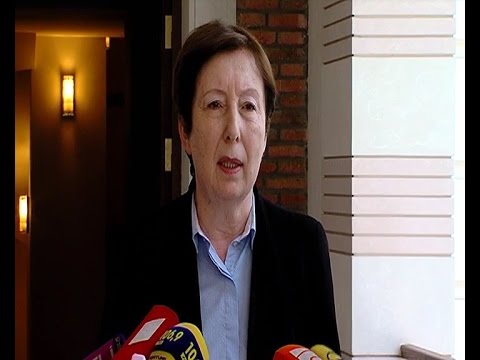 სევდია უგრეხელიძის ბრიფინგი