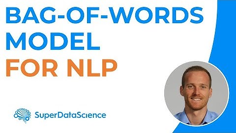 Bag of Words Model for Natural Language Processing