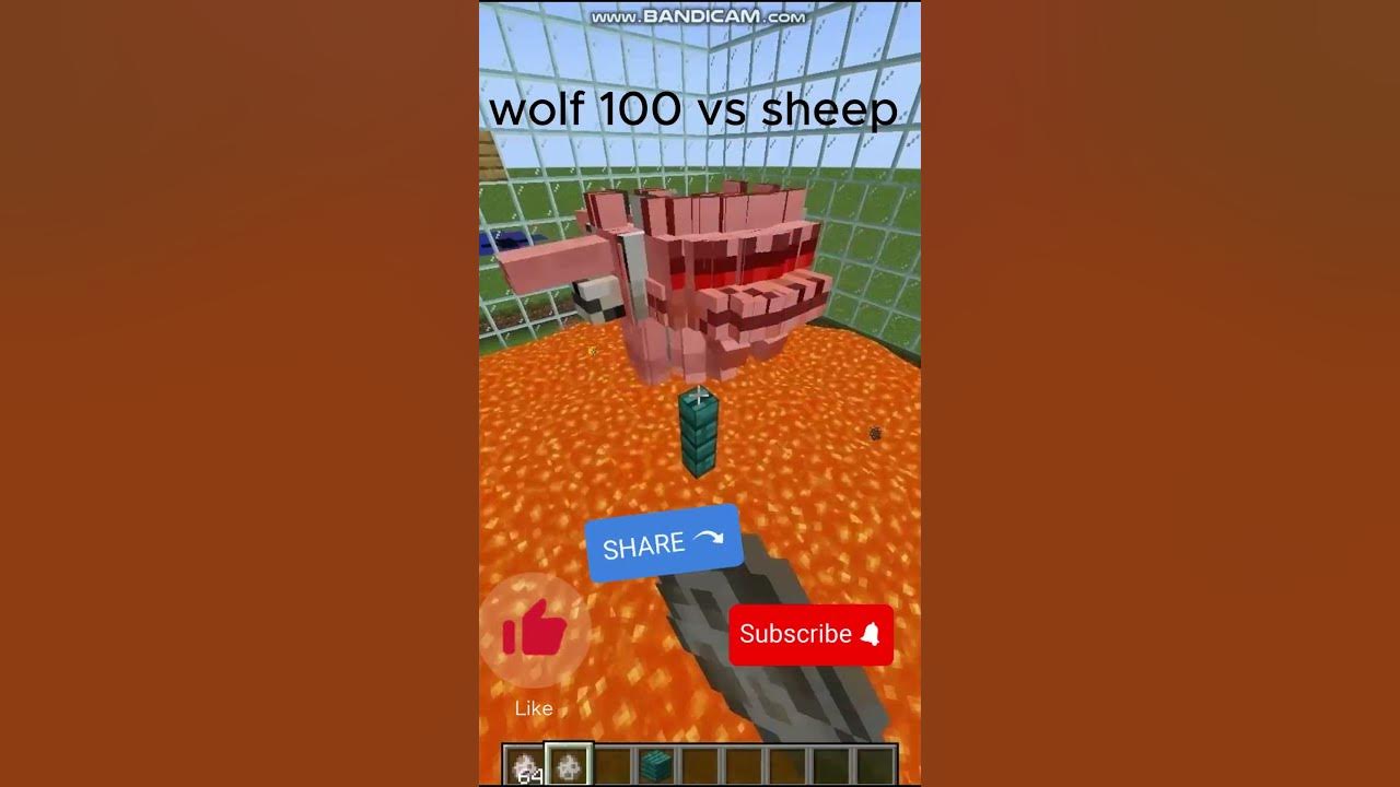  minecraft wolf 100 vs sheep youtube