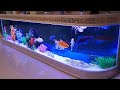 8 Feet 240cm Aquarium Luxury Glass Table Coffee TV Cabinet Fish Tank Rack Rak Furniture PF1-0309