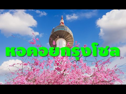 เที่ยวเกาหลี 2017 EP 4 หอคอยกรุงโซล พิพิธภัณฑ์สวนสัตว์น้ำ AQUA PLANE