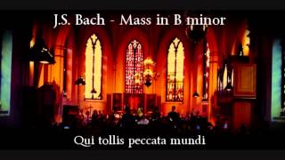 Qui tollis peccata mundi, J.S Bach - Mass in B Minor