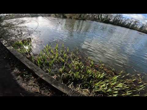 Walking in Little Britain Lake