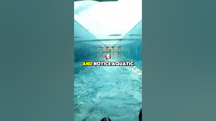 Lo scivolo acquatico Atlantis con gli squali che nuotano (📸:tuberides.official)