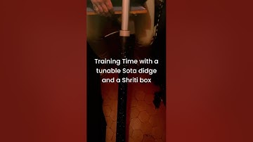 Olivier Goyet Playing a Shruit Box & a State Of The Art ( SOTA ) Slide Didgeridoo instrument