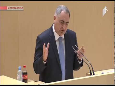 ირაკლი კოვზანაძის გამოსვლა პარლამენტის პლენარულ სხდომაზე (15.06.2017 წ.)