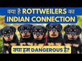 Are Rott Dangerous? Are rottweilers good for first time owners | Are rottweilers good family dogs?