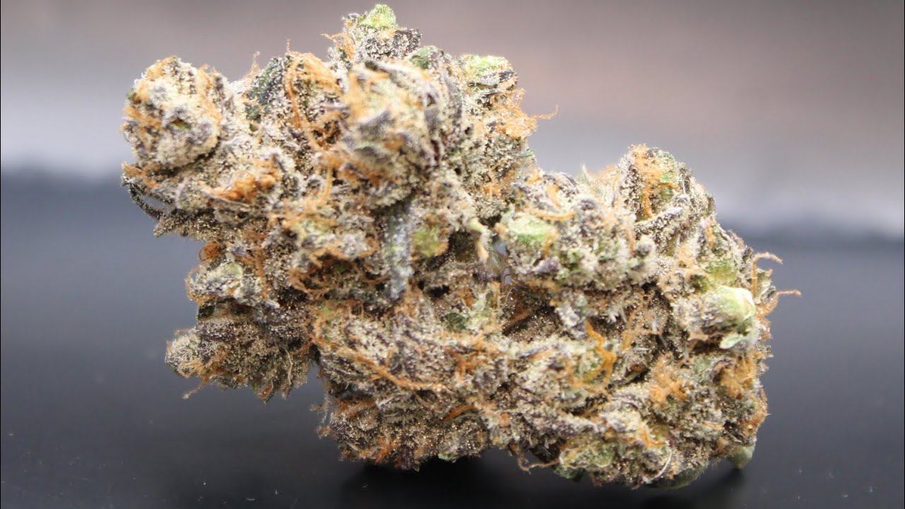 Pure Michigan By Mainely Exotics & Swell Cultivation STRAIN REVIEW