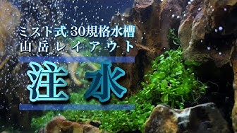 ミスト式 Youtube ミスト式 Youtube