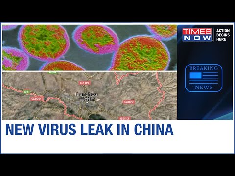 Video: China A Strâns Despăgubiri De 3,8 Milioane De Dolari După O Infecție Masivă Cu Bruceloză