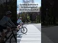 Golden Gate Park Highlights — Nature in the City #woodlandambience #travel #spring