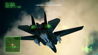Ace Combat 7 - Feral Cat vs. ADF-11Fs