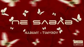 T1murov & Nabiimy - Ne Sabab (official music)