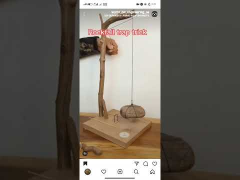 تله موش ومار