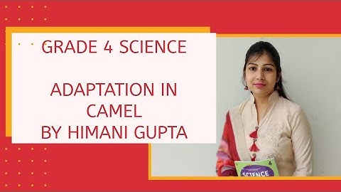 Grade 4| L- 3 |Adaptation in Animals| Camel| Explained by Ms Himani Gupta