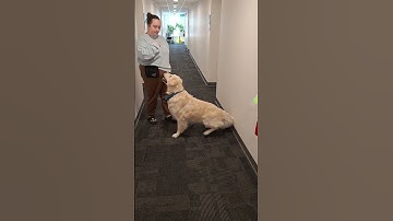 Lesson 16, Excercise 16.3, Generalize a Portion of Your 10 Part Behaviour Chain, Video 3