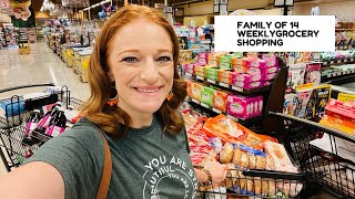 FAMILY OF 14 WEEKLY GROCERY SHOPPING **And Restock** image