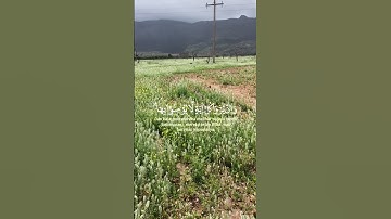 تلاوة خاشعة تريح الاعصاب ❤️🤲
