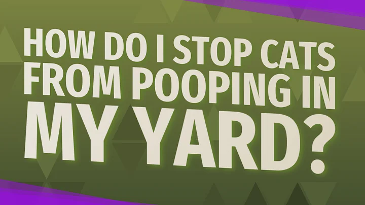 What can I put on the ground to keep cats from pooping in my yard? (2023)