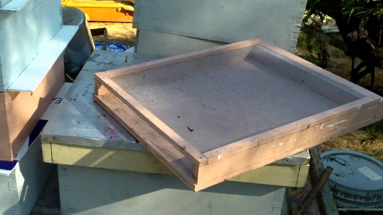 Bee Hive Bottom Board Design - YouTube