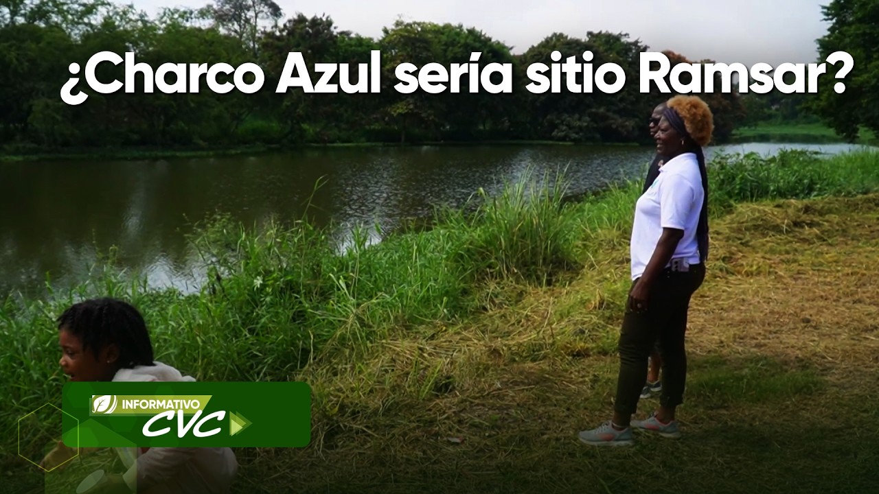 INFORMATIVO CVC Programa 745 18 de febrero de 2026