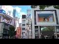 TOKYO 3D Cat In Shinjuku Billboard Japan 4K HDR TOKYO 3D Cat In Shinjuku Billboard Japan 4K HDR