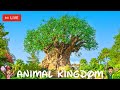 🔴 Live: Disney's Animal Kingdom - Live Stream - Friday FAMILY FUN