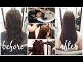 My Hair Transformation || Keratin Complex Smoothing Treatment || Eliana Jalali