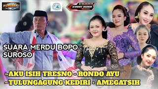 AKU ISIH TRESNO - RONDO AYU || TAYUB GLERR DAFFA AUDIO NYETEREO JOSJIS