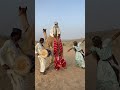 امرأة مجنونة ترقص مع جمل في حفل زفاف زوجها 
