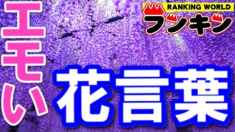 花言葉 Mp3