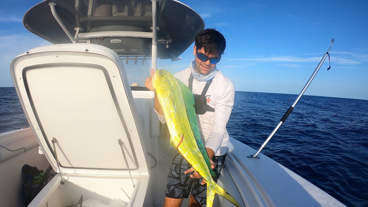 FISHING FOR MAHI MAHI WITH LIVE BAIT FL KEYS!! YouTube