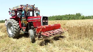 Wheat Cutter Machine Reaper massey ferguson Tractor Working Agriculture