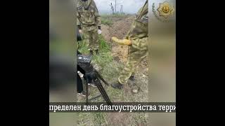 ПО Ингушетии, Чечни, КБР, РСО, Самары, Астрахани и Ставрополья в РИ обнаружили 13 останков солдат