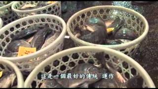 嘉義市魚市場---夜市人生(完整版) 