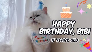 HAPPY BIRTHDAY TO MY CAT BiBi !! 11 years! | Mypawsntails