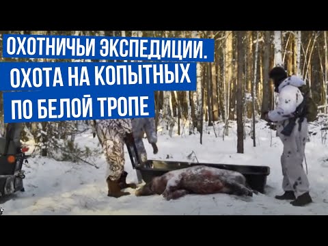 Охота на копытных по белой тропе \ Охотничьи экспедиции. Сезон 1.