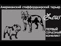 Амстафф. Первый серьезный конфликт. Драка.