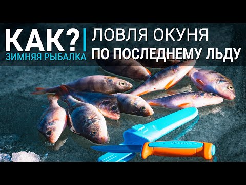 КАК? Ловля окуня по последнему льду. Зимняя рыбалка на балансир и мормышку.