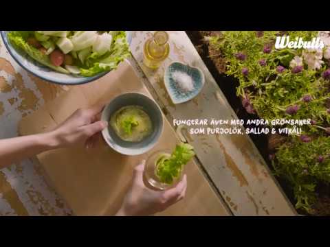 Video: Matlagningssallad Med Grönsaker Och Nya örter