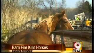 Barn fire kills three horses