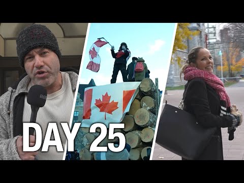 Tamara Lich trial day 25: Crown witness acknowledges Freedom Convoy's decentralized leadership