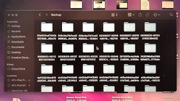 ANY iPhone How To Access Backup Files on Mac!